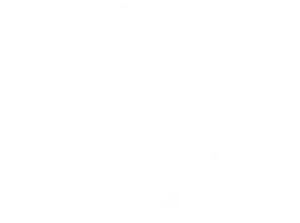 eLearnSecurity Certified Profession Penetration Tester